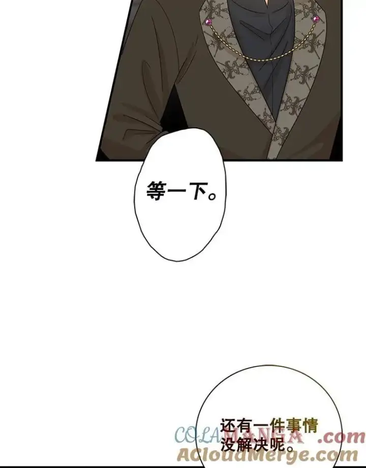 漫画《反派的继母》99.先皇的信第49张图