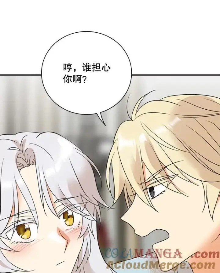 漫画《反派的继母》108.圆满解决第76张图