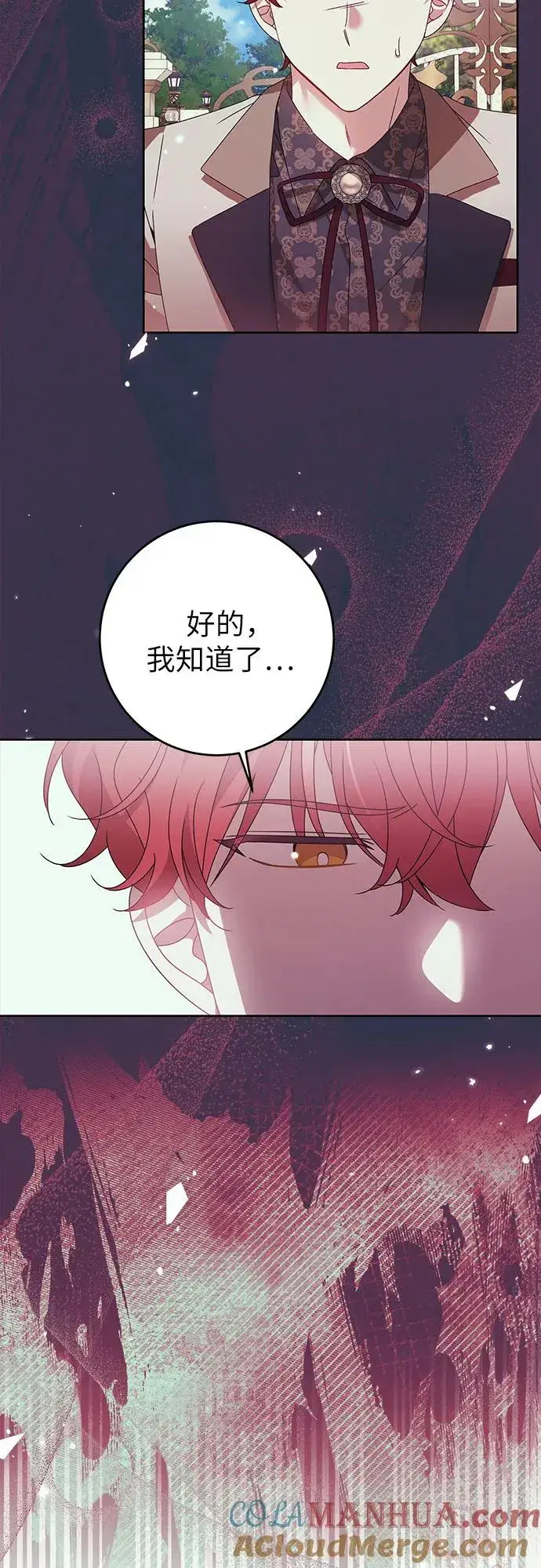 漫画《反派家族反对独立》第17话第25张图