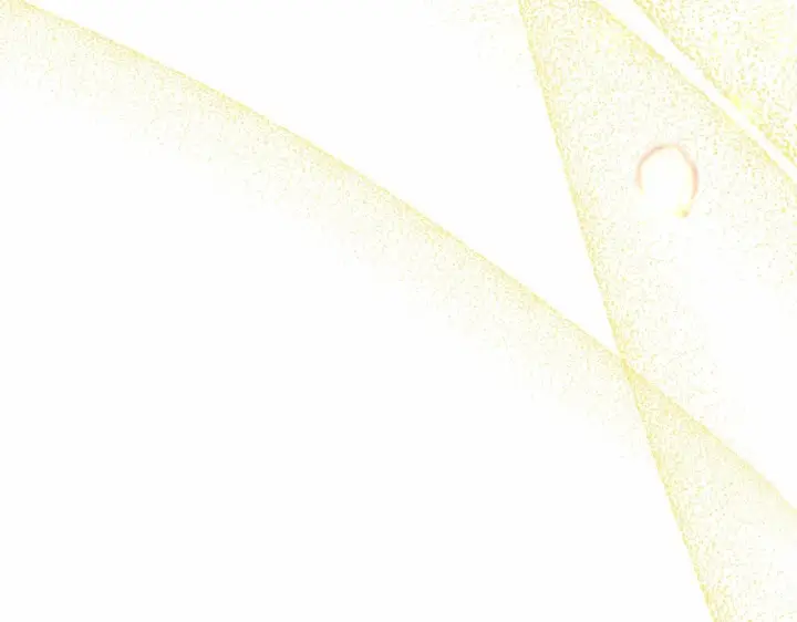 漫画《反正是欧风小甜漫》第34话 回到自己的家，为所欲为第32张图