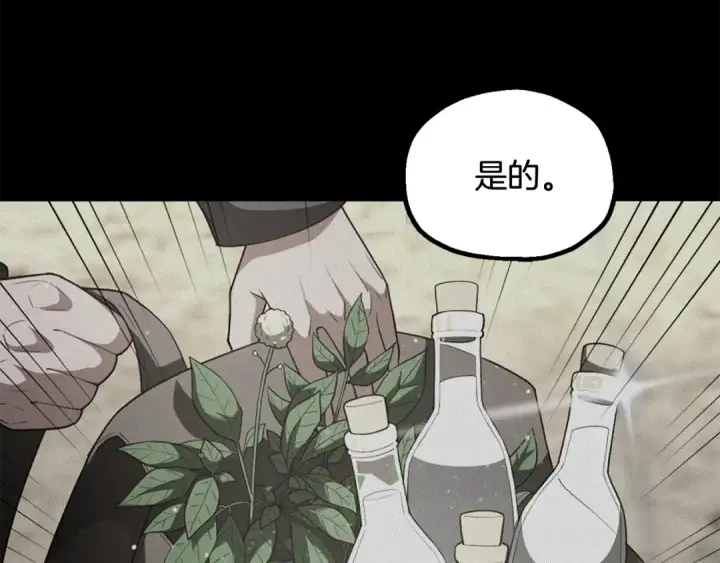 漫画《法师家族的恶少小儿子》第四季 第1话 四月白狼出没第209张图