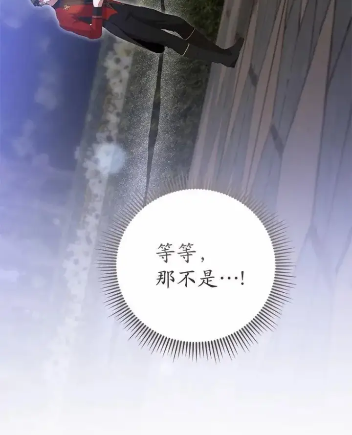 漫画《菲奥妮-预见与杀人魔大公的未来》45.婚事问题第148张图