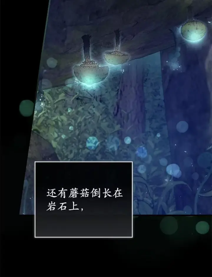 漫画《菲奥妮-预见与杀人魔大公的未来》55.白夜空间第15张图