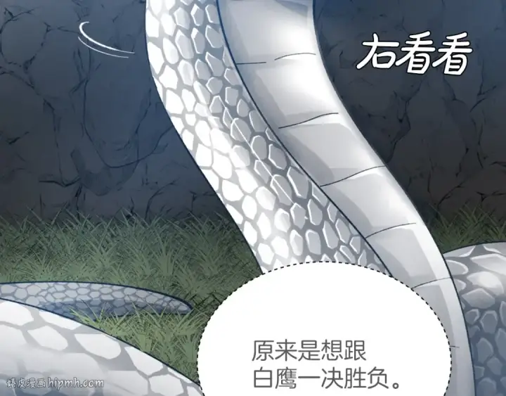 漫画《飞雷刀》第29话 白鹰与白蛟第112张图