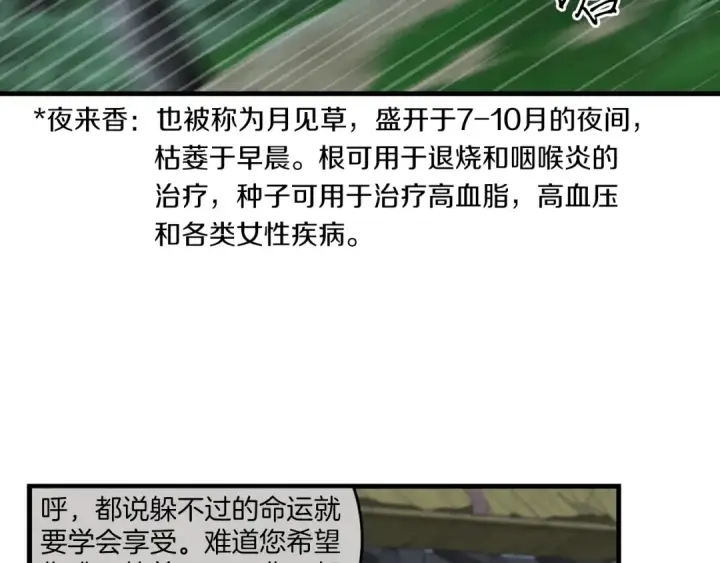 漫画《飞雷刀》第50话 我的徒弟失败了第147张图