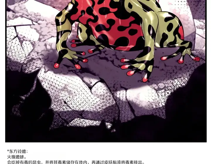 漫画《飞雷刀》第190话 怀疑对象第49张图