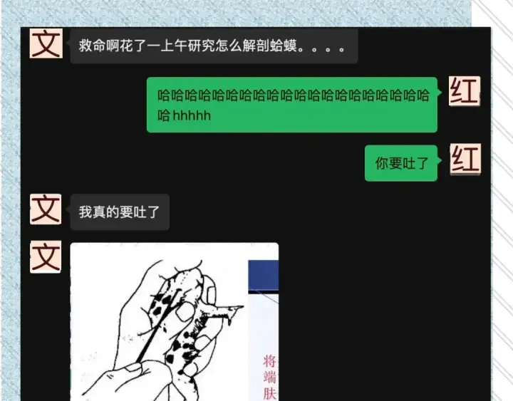 漫画《告白》告白路透社！第13张图