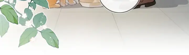 漫画《告白》第十八话 别听了，出来吧第25张图