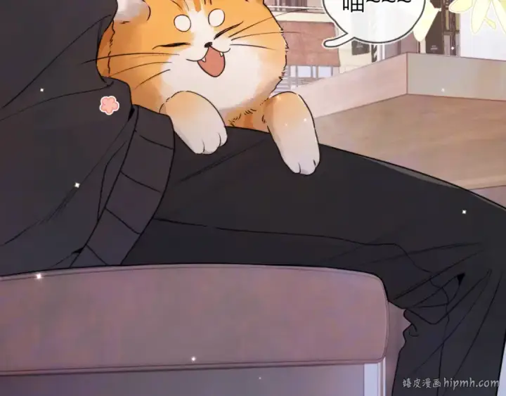 漫画《告白》第四十七话 你的猫？第72张图