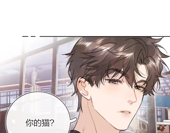 漫画《告白》第四十七话 你的猫？第78张图