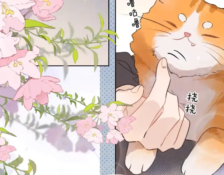 漫画《告白》第四十七话 你的猫？第82张图