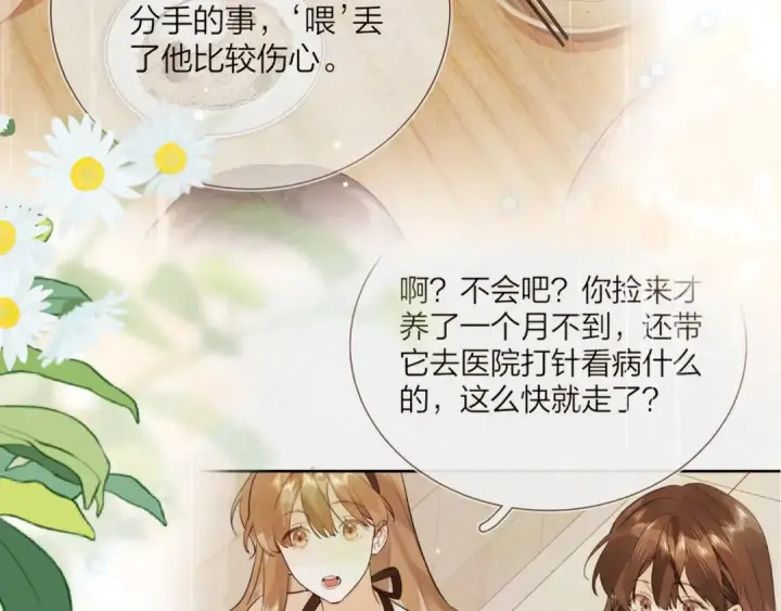 漫画《告白》第四十八话 你们俩的猫第12张图