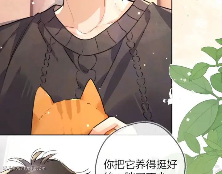 漫画《告白》第四十八话 你们俩的猫第24张图