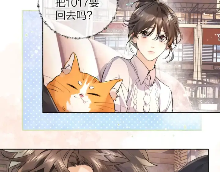漫画《告白》第四十八话 你们俩的猫第27张图
