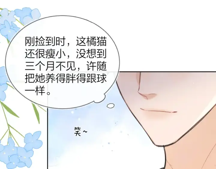 漫画《告白》第四十八话 你们俩的猫第30张图