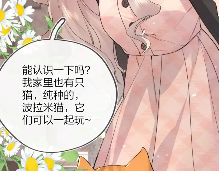 漫画《告白》第四十八话 你们俩的猫第37张图