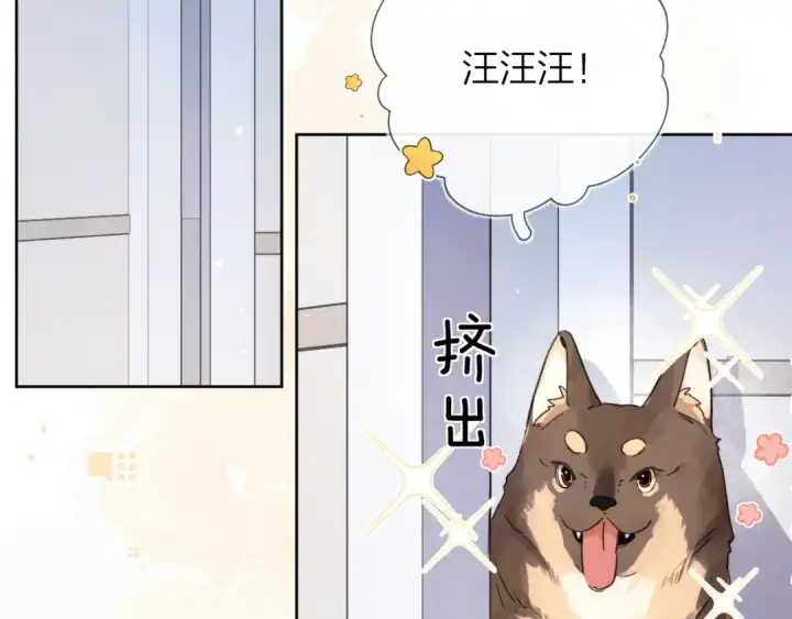 漫画《告白》第四十八话 你们俩的猫第47张图