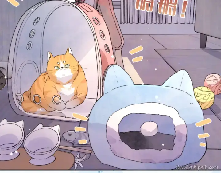 漫画《告白》第四十八话 你们俩的猫第56张图