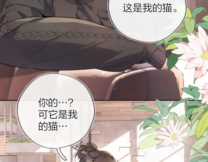 漫画《告白》第四十八话 你们俩的猫第6张图