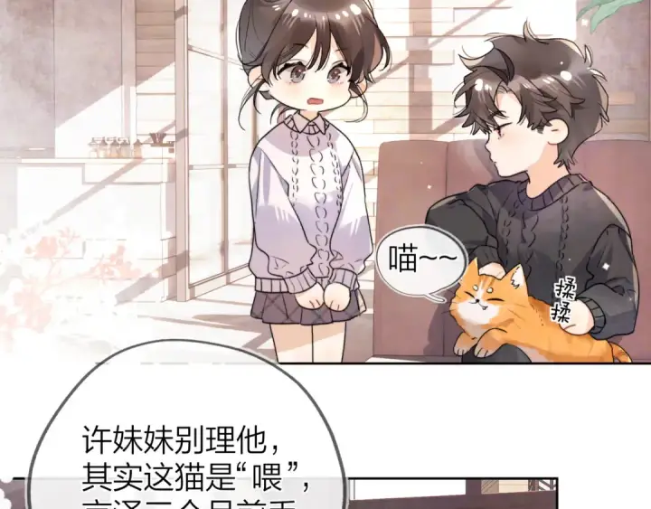 漫画《告白》第四十八话 你们俩的猫第7张图