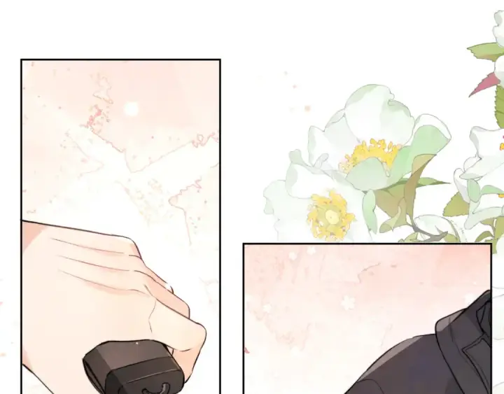 漫画《告白》第四十八话 你们俩的猫第78张图