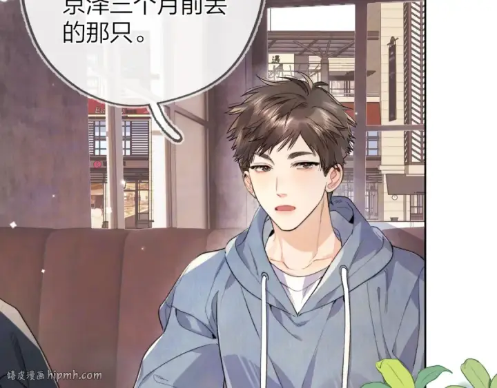 漫画《告白》第四十八话 你们俩的猫第8张图