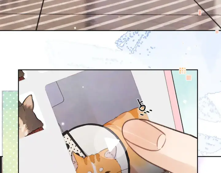 漫画《告白》第五十话 别急第33张图