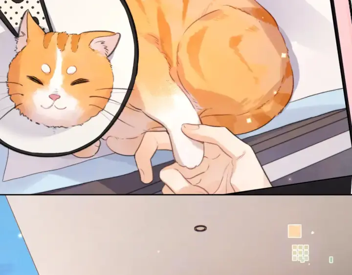 漫画《告白》第五十话 别急第35张图