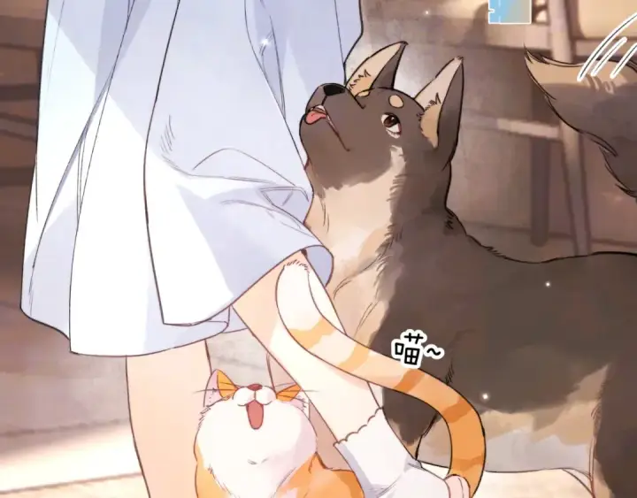 漫画《告白》第九十六话 生日快乐，周京泽第18张图