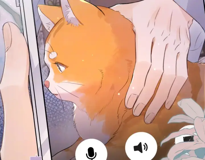 漫画《告白》第一百零七话 视频吗？看猫第65张图