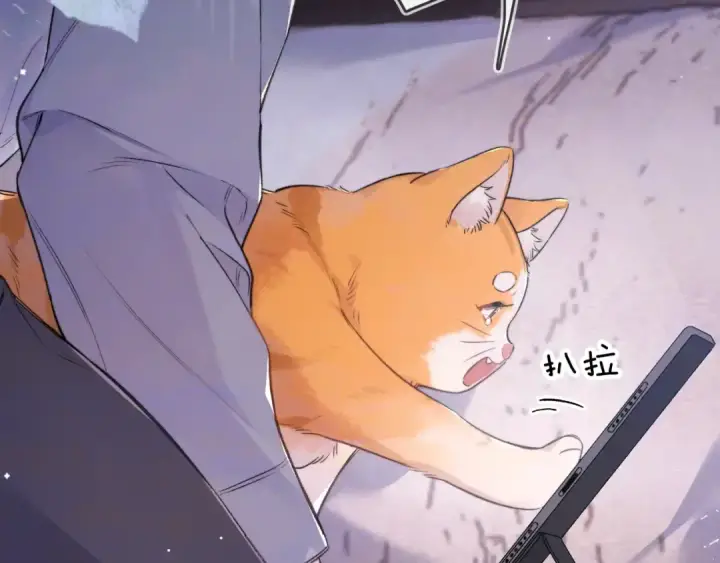 漫画《告白》第一百零七话 视频吗？看猫第68张图
