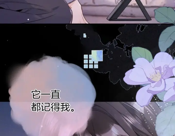 漫画《告白》第一百零七话 视频吗？看猫第69张图