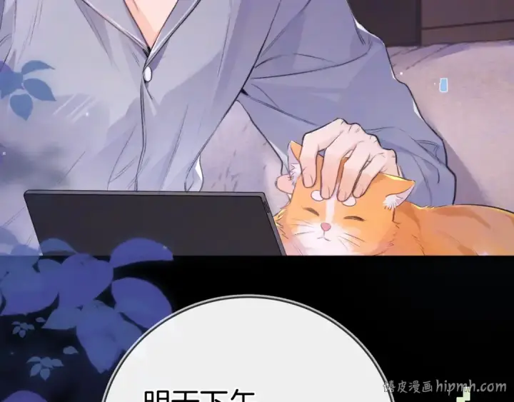 漫画《告白》第一百零七话 视频吗？看猫第72张图