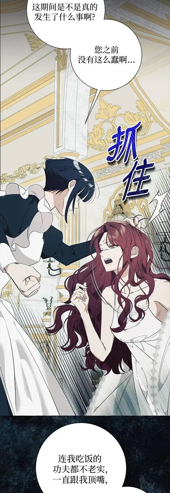 漫画《根本不是普通的穿书》第26话第19张图
