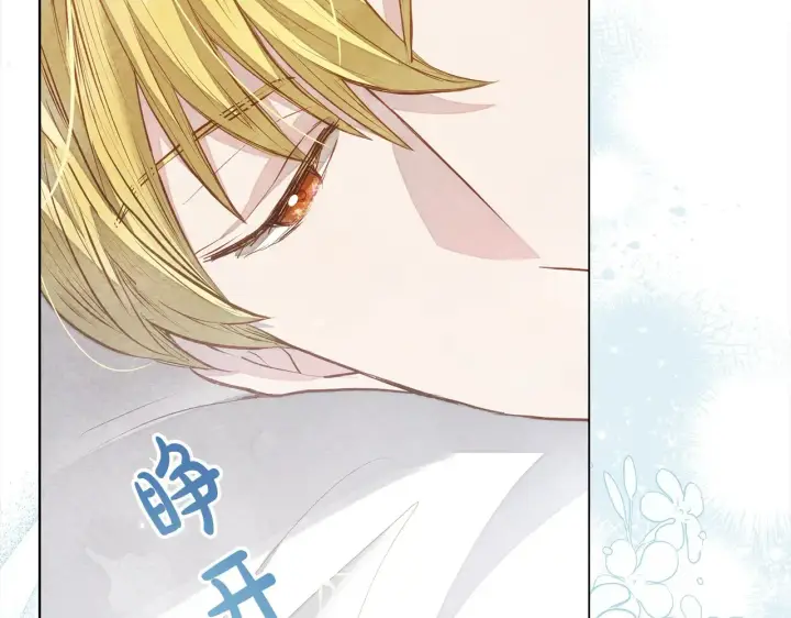 漫画《公女今日起罢工》第24话 为什么对我那么好？第105张图