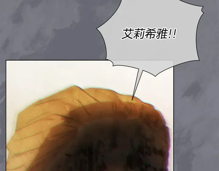 漫画《公女今日起罢工》第51话 是母亲吗？第67张图