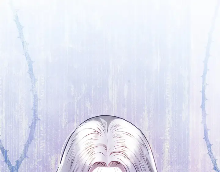 漫画《公女今日起罢工》第53话 一定要幸福第210张图