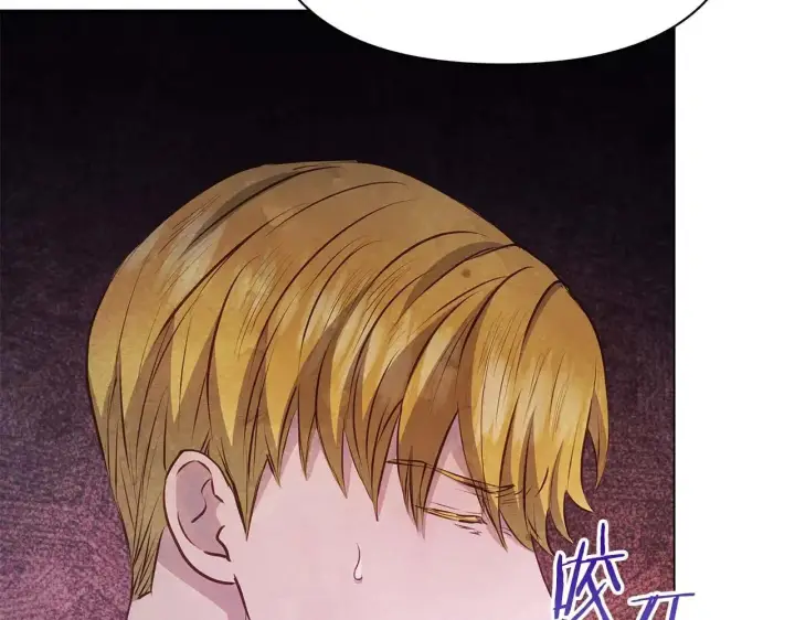 漫画《公女今日起罢工》完结篇 爱情与故事会继续第120张图