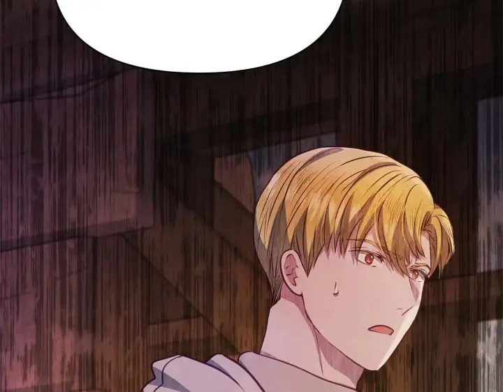 漫画《公女今日起罢工》完结篇 爱情与故事会继续第132张图