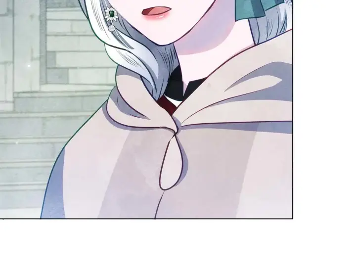 漫画《公女今日起罢工》完结篇 爱情与故事会继续第203张图