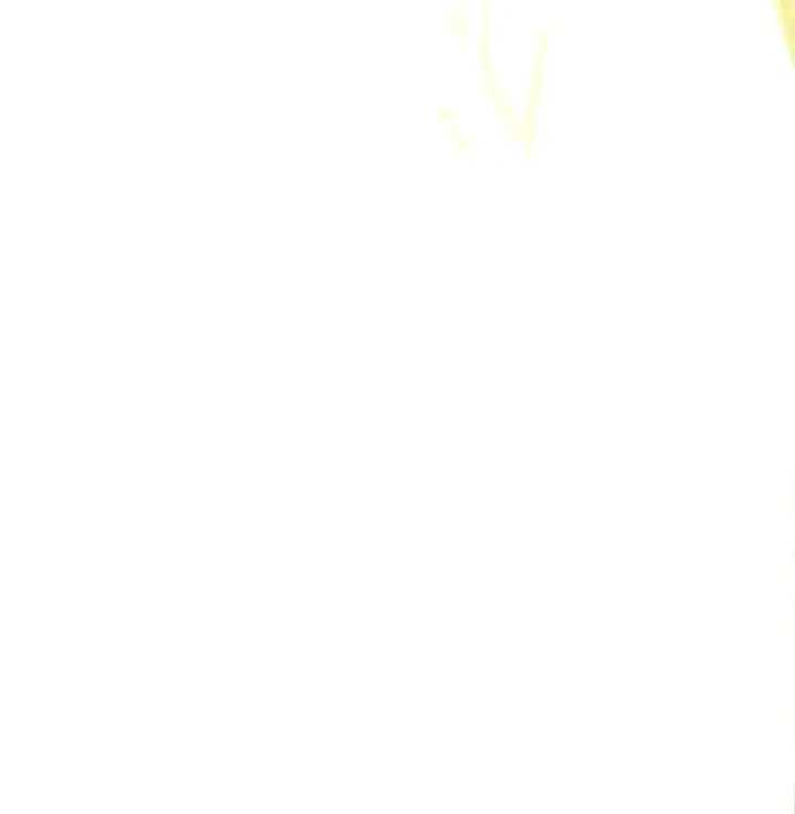漫画《归还者的魔法要特别》058 58第22张图