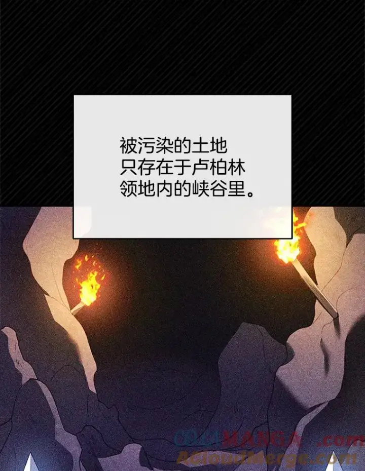 漫画《怀了恶棍的孩子》23.被污染的土地第13张图