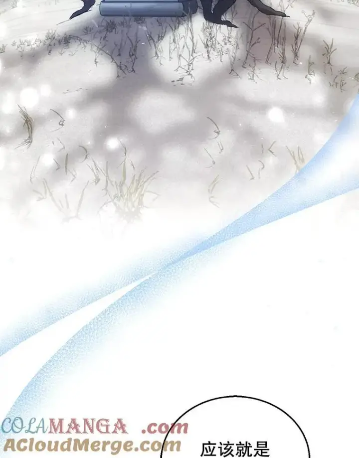 漫画《怀了恶棍的孩子》81.正式继任第89张图