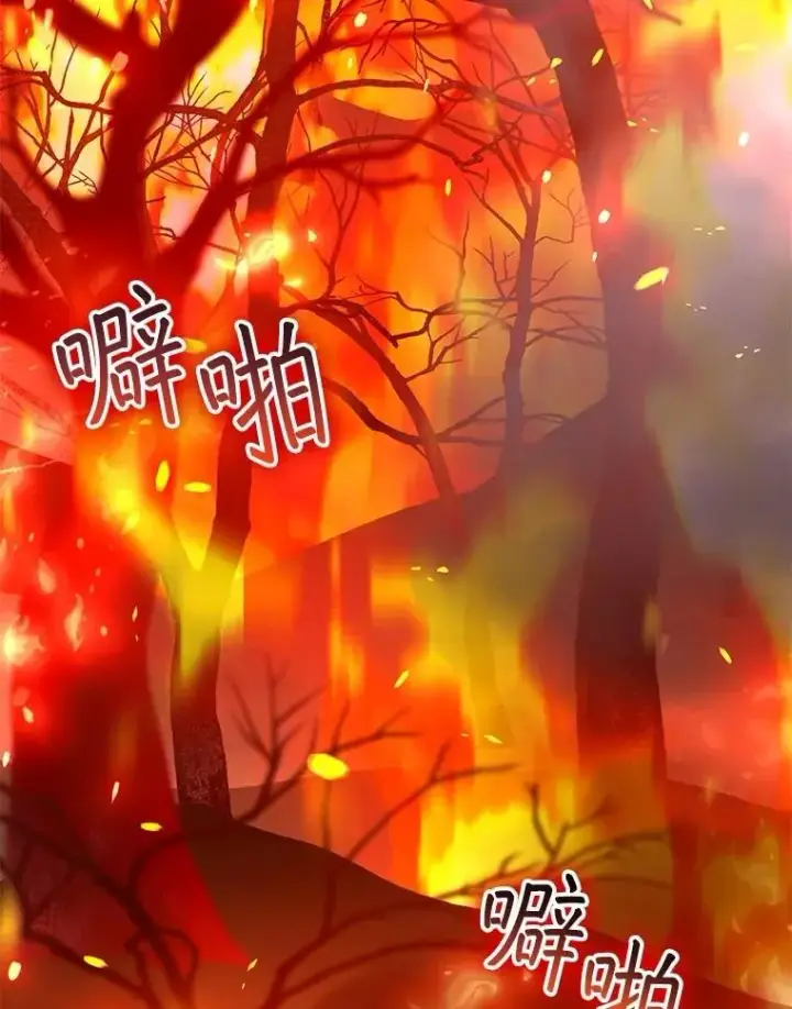 漫画《怀了恶棍的孩子》88.山火第88张图