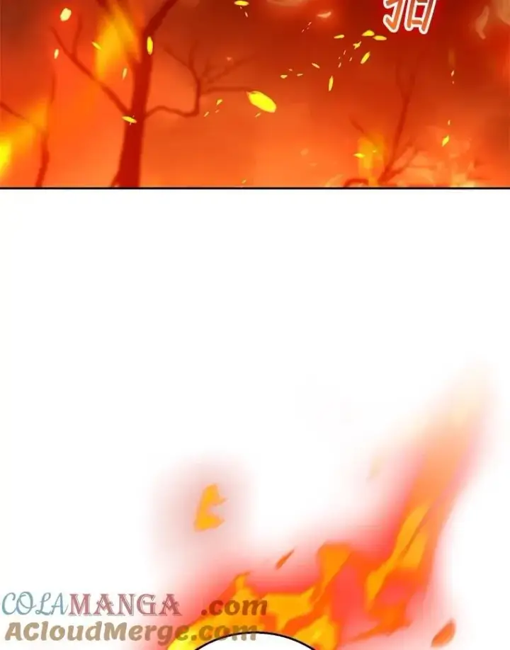 漫画《怀了恶棍的孩子》88.山火第89张图