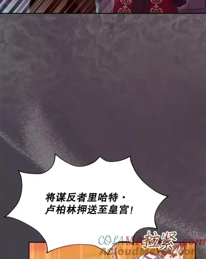 漫画《怀了恶棍的孩子》95.皇帝之死第57张图
