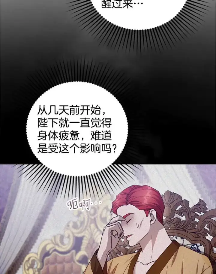 漫画《怀了恶棍的孩子》95.皇帝之死第8张图