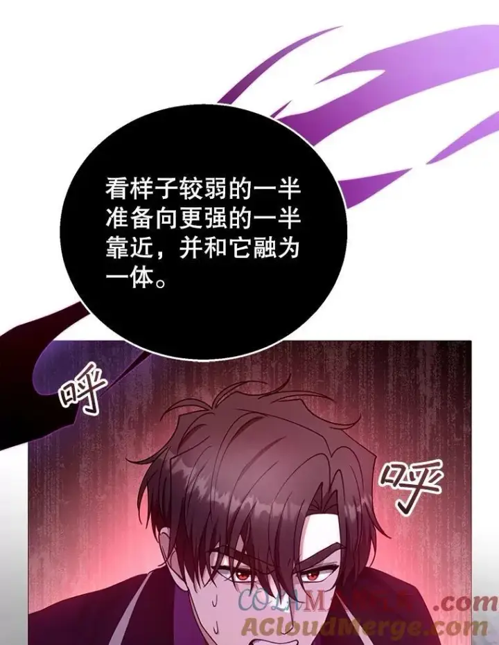 漫画《怀了恶棍的孩子》98.被吞噬的皇宫第121张图