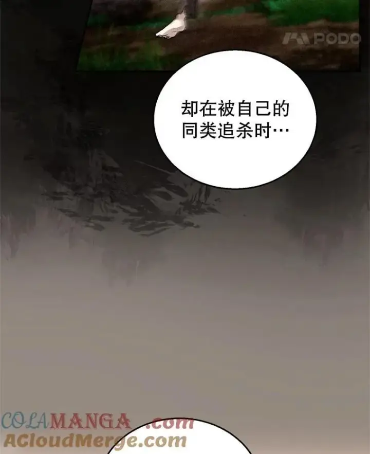 漫画《怀了恶棍的孩子》101.受伤的魔族少年第61张图