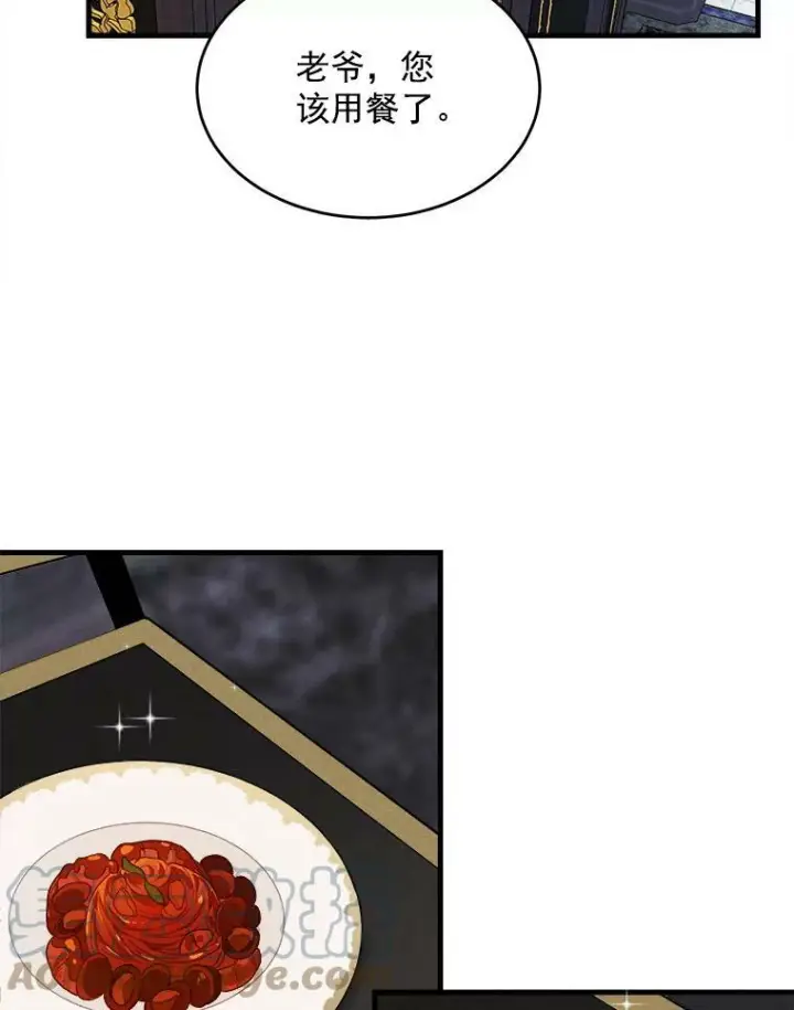 漫画《皇家厨师小姐》27.膳食调理第37张图